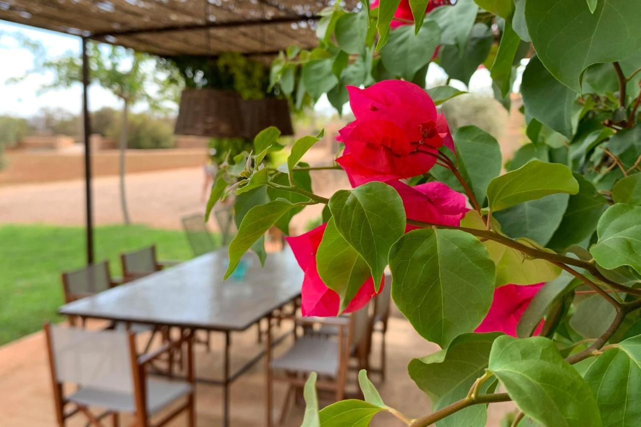 Finca Can Sitja เซส์ซาลิเนส ภายนอก รูปภาพ
